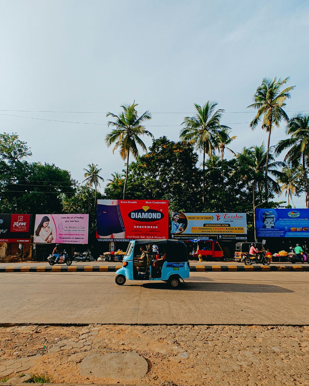 Goa Masala